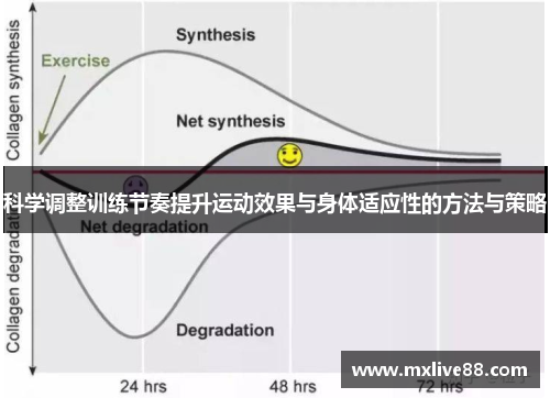 科学调整训练节奏提升运动效果与身体适应性的方法与策略